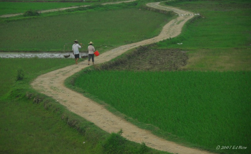 The Long Walk.jpg - Train from Xiamen to Hangzhou